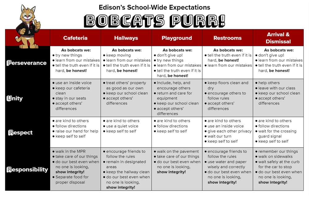 School Wide Behavior Matrix